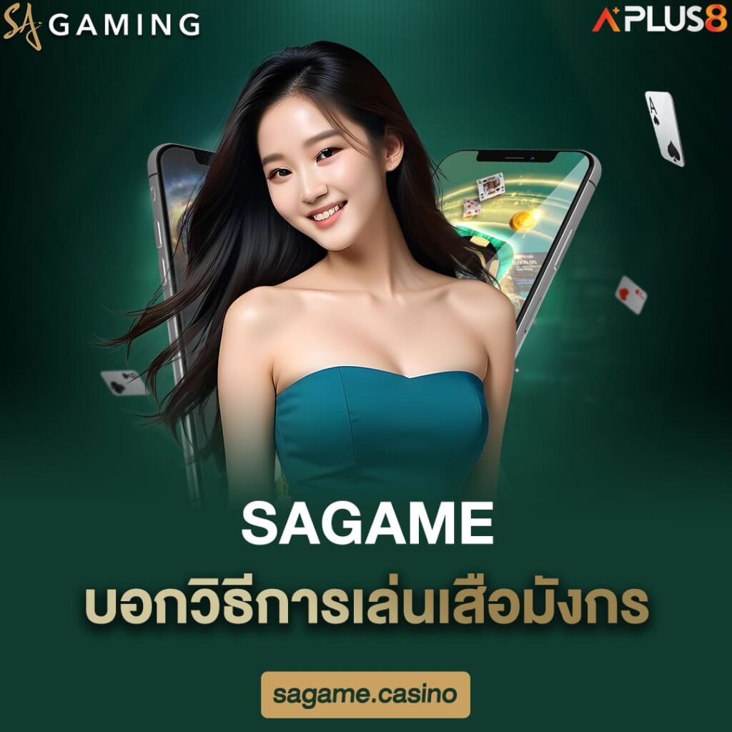 sagame-บอกวิธีการเล่นเสือมังกร